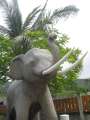 4420_Elephant