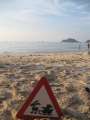 4590_X-mas_beach