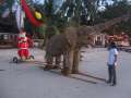 4596_Santafant