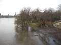 4849_Hochwasser_Dresden