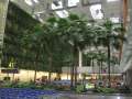 5275_Singapore_Airport