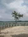 5317_Beach
