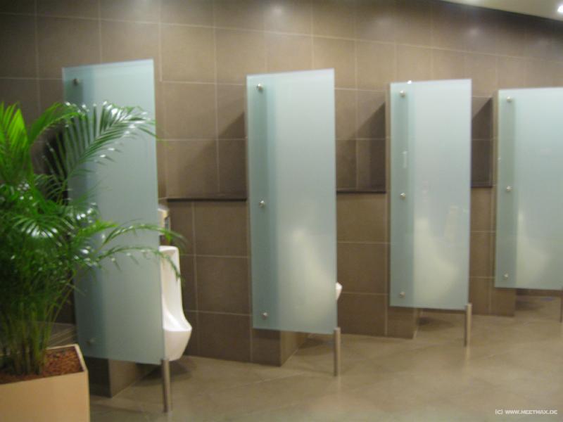 5427_Changi_toilet
