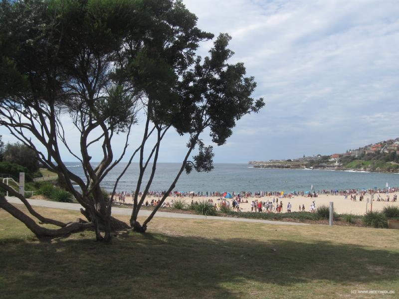 5592