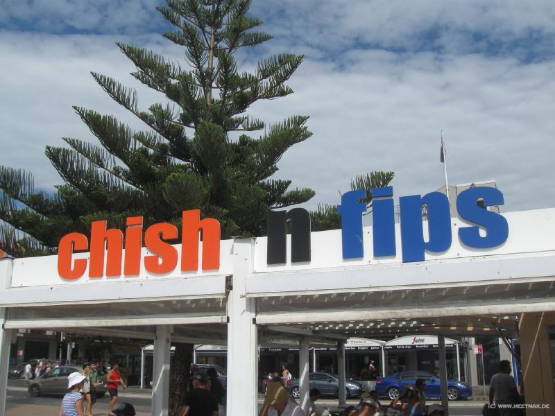 5593_Chish_n_fips