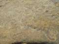 5580_Rock_carvings