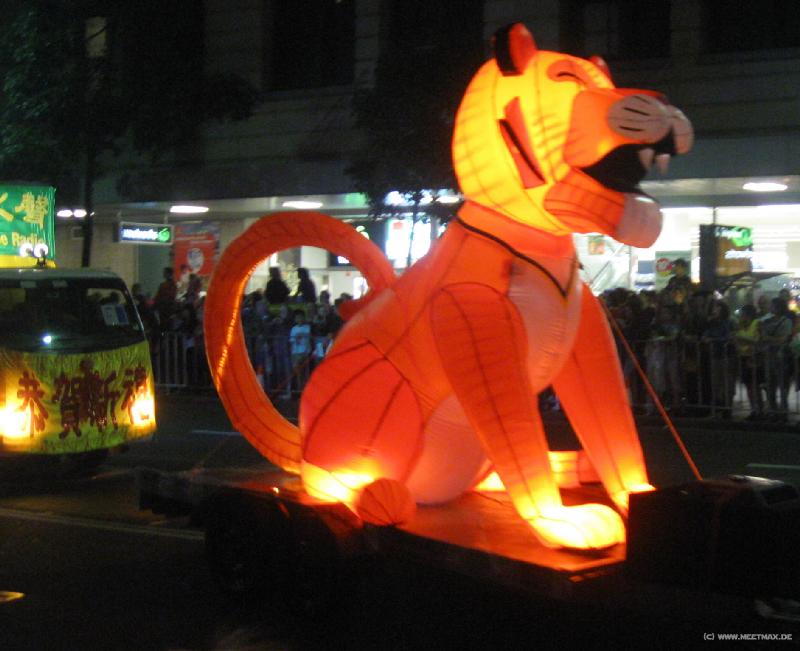 5816_Tiger