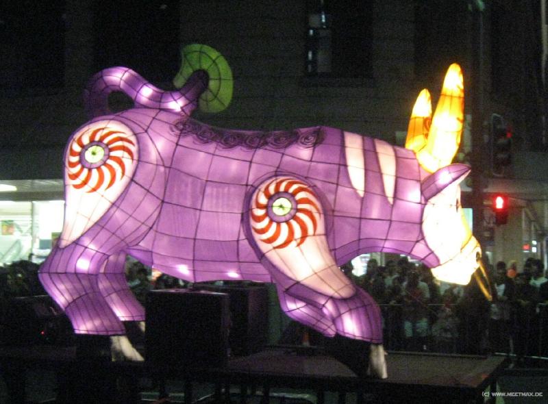 5819_Cow