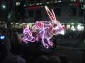 5654_Rabbit