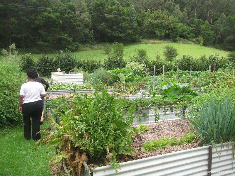 6014_Organic_garden