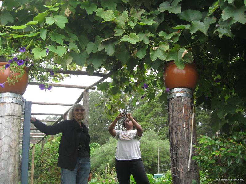 6022_Pam_and_Tasha