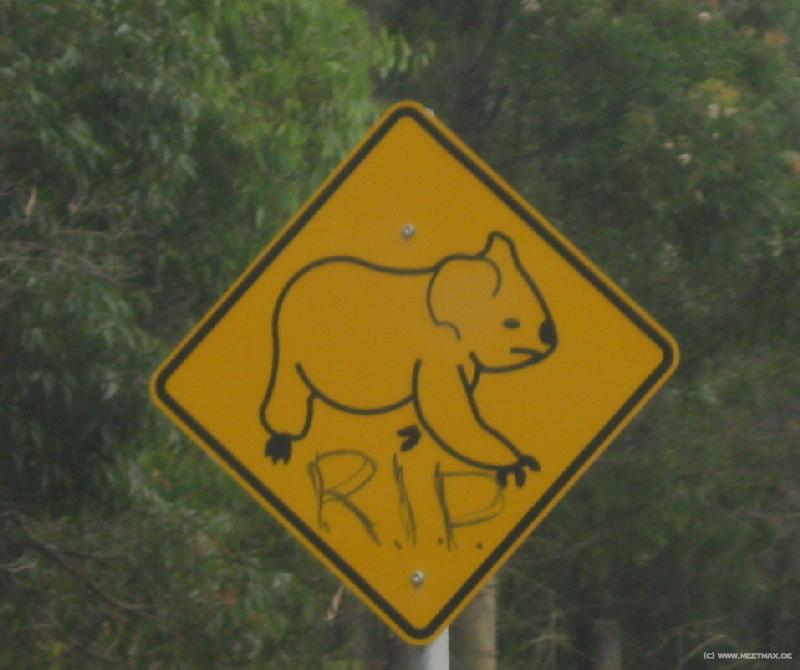 6141_Koala_sign