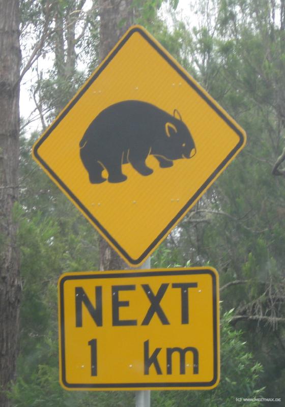 6143_Wombat_sign