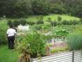 6014_Organic_garden