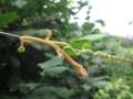 6025