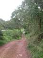 6043_Road_to_Bodalla