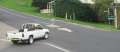 6114_Car_dog