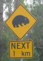 6143_Wombat_sign
