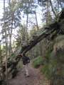 7286_Lecker_Pilze