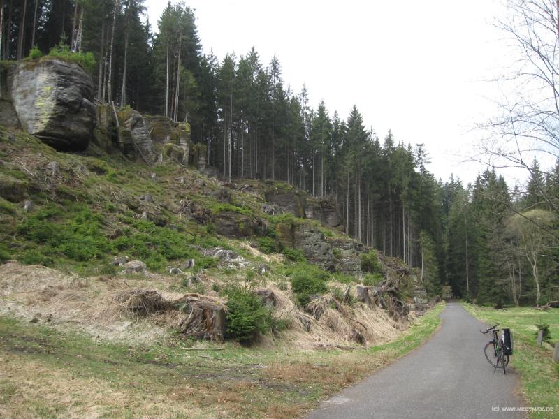 7325_Waldweg_hinter_Kyjov
