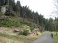 7325_Waldweg_hinter_Kyjov
