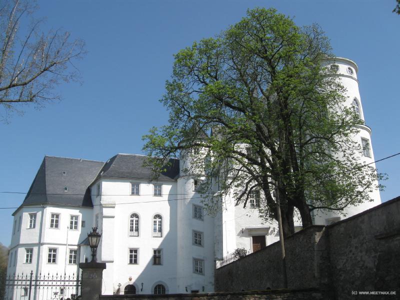7353_Schloss_B�renstein