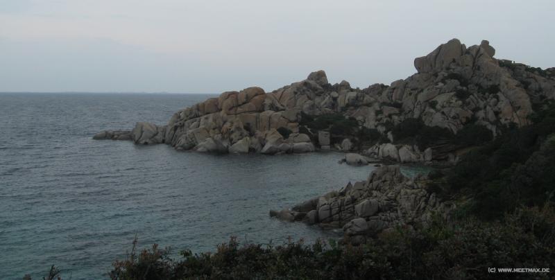 7424_Capo_Testa