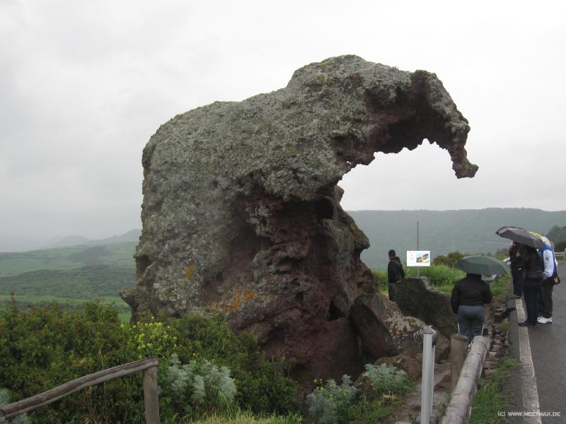 7502_Elephant