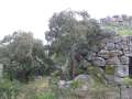 7509_Nuraghe_Maiori