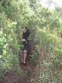 7564_Cat_in_the_bush