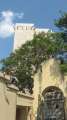 7819_Torre_dell'Elefante