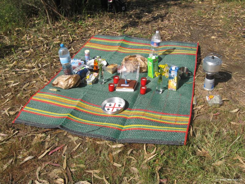7857_Birthday_picnic