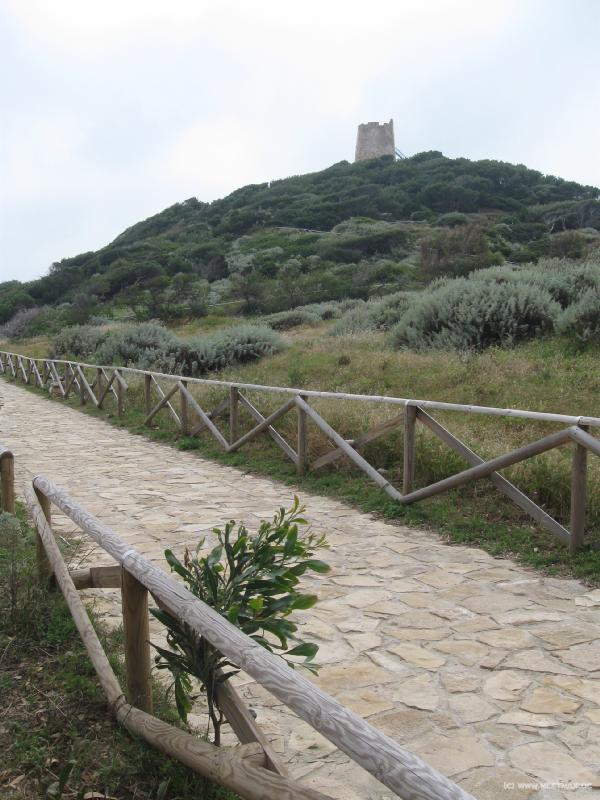 7878_Chia_tower