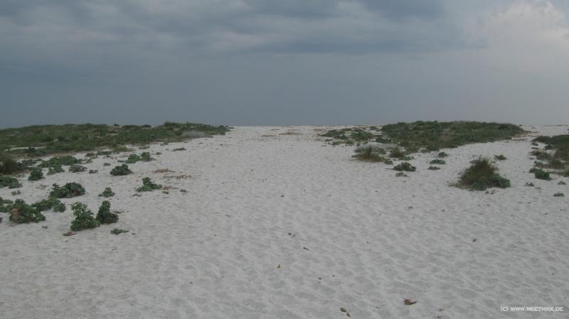 7939_Mari_Ermi