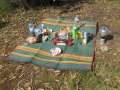 7857_Birthday_picnic