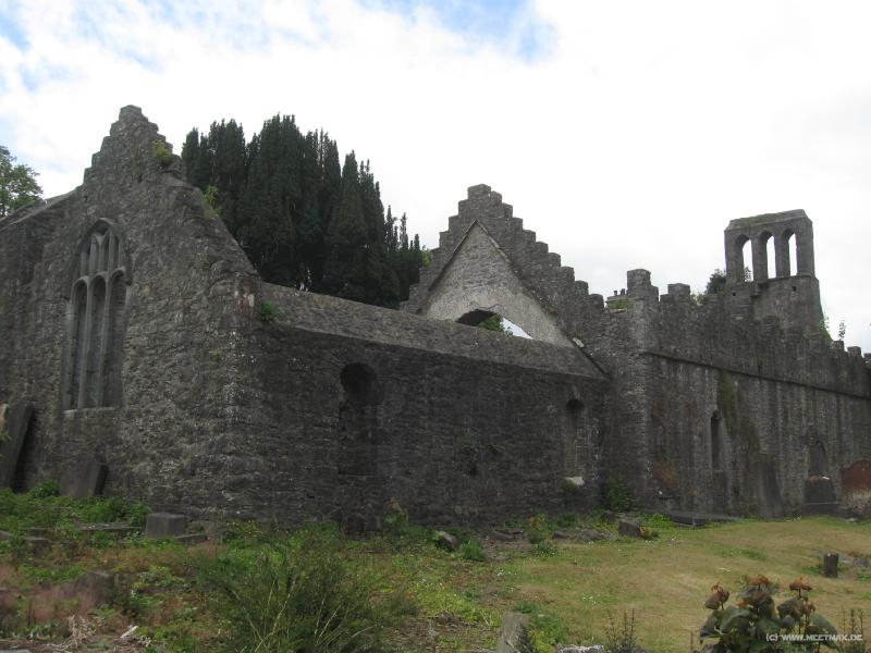 8293_Malahide