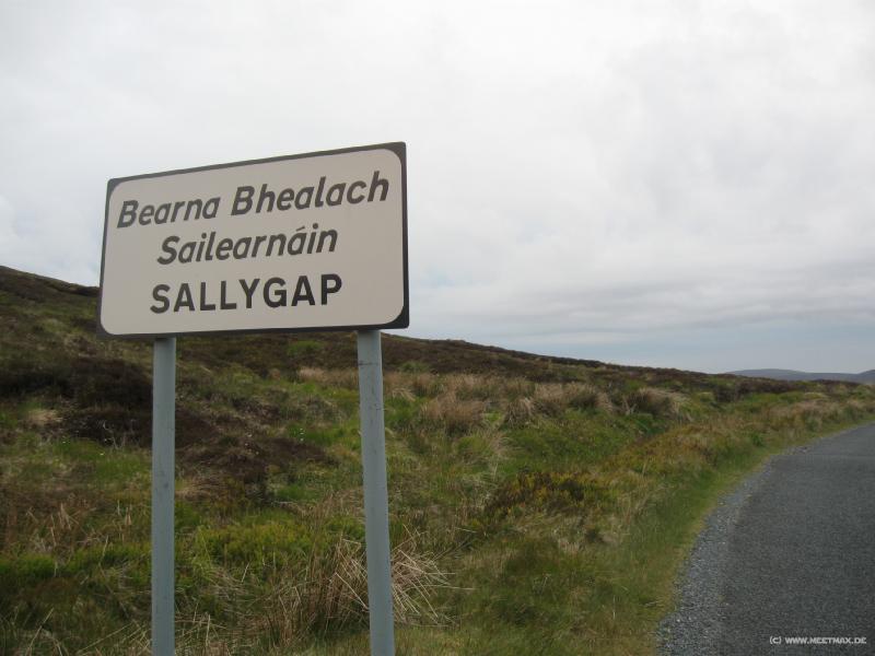 8477_Sallygap