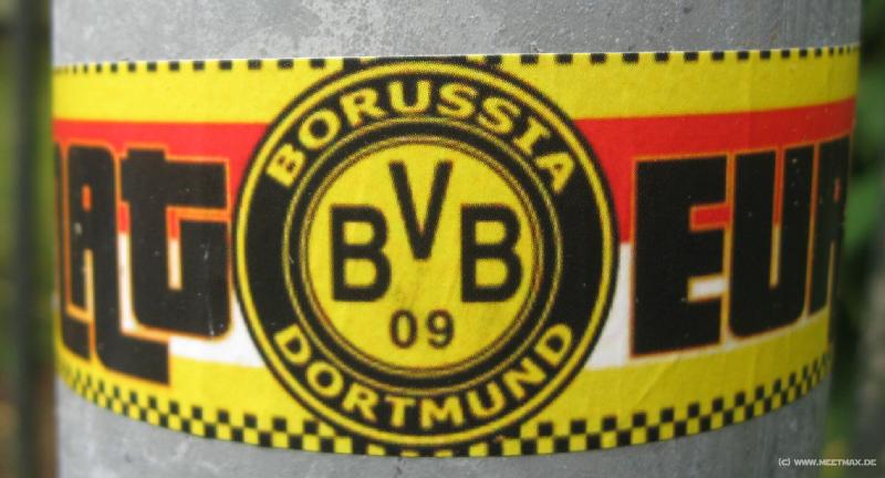 9108_BVB_Fan
