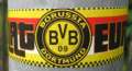 9108_BVB_Fan