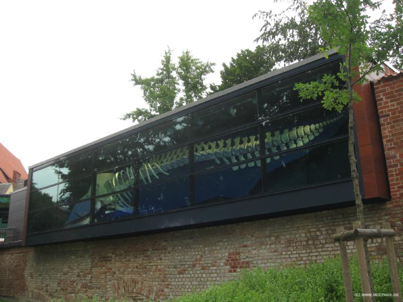 0829_Meeresmuseum