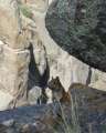 1269_Squirrel