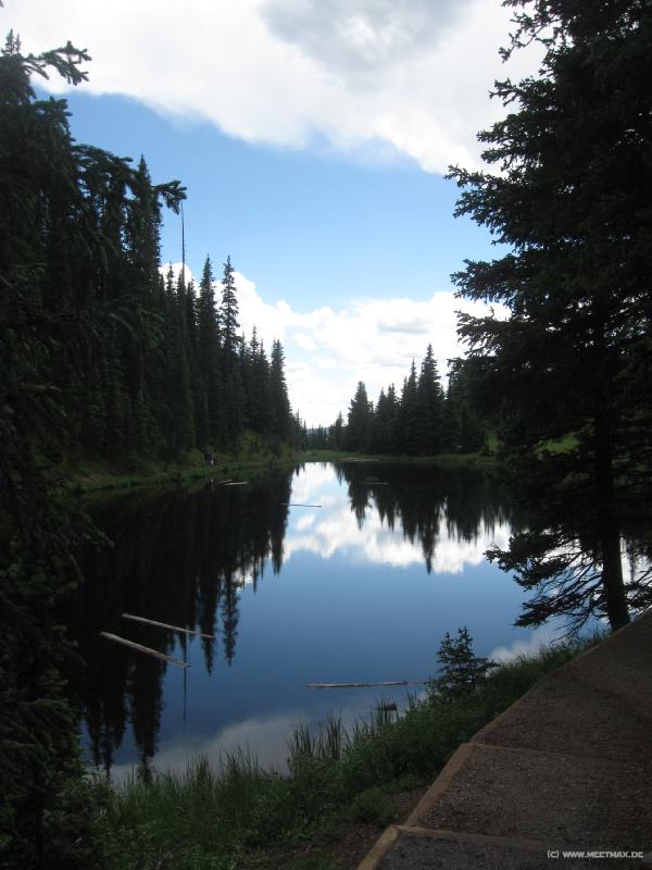 1866_Lake_Irene