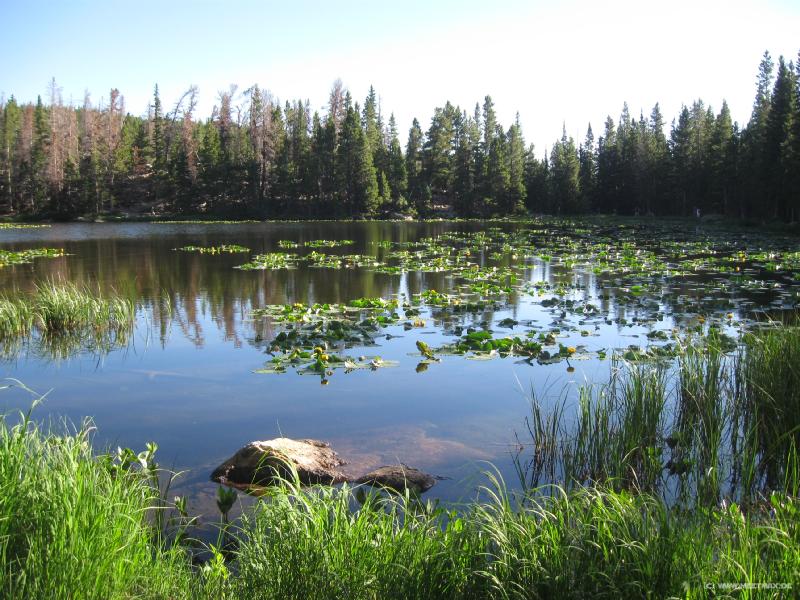 1973_Nymph_Lake
