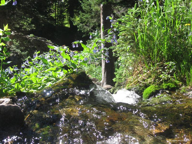 2005
