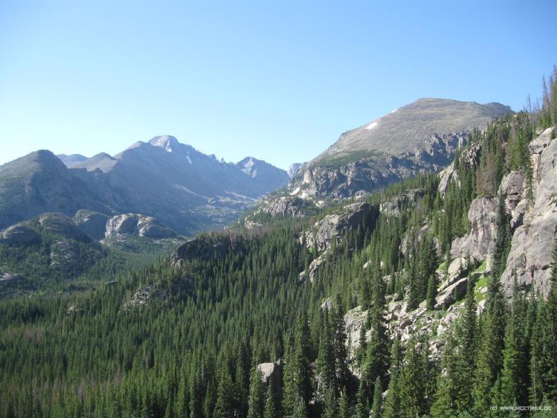 2009