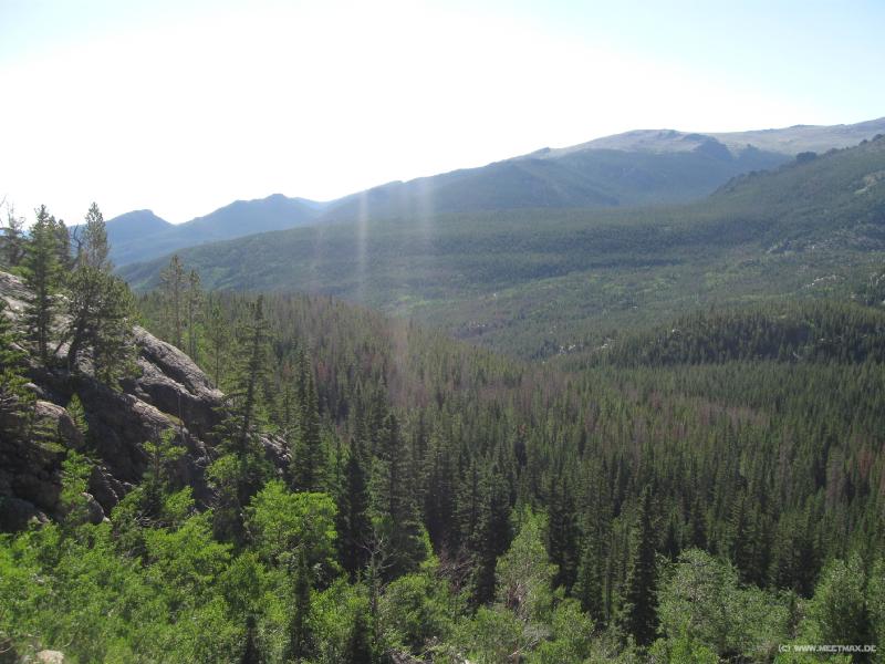 2010