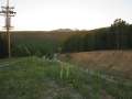 1927_Morning_view