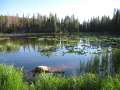 1973_Nymph_Lake