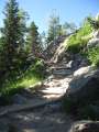 1979_Trail