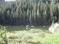 1997_Dream_Lake